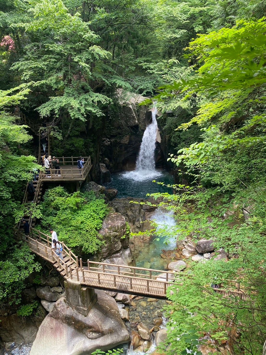夏のお出かけ