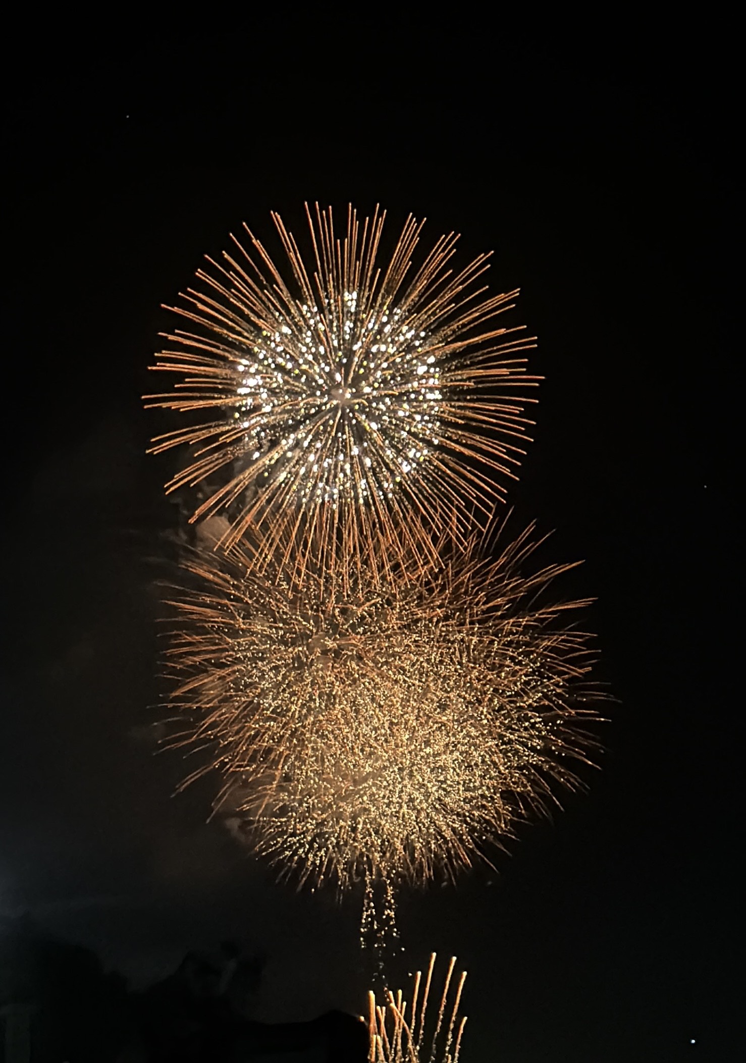 夏の風物詩～花火～