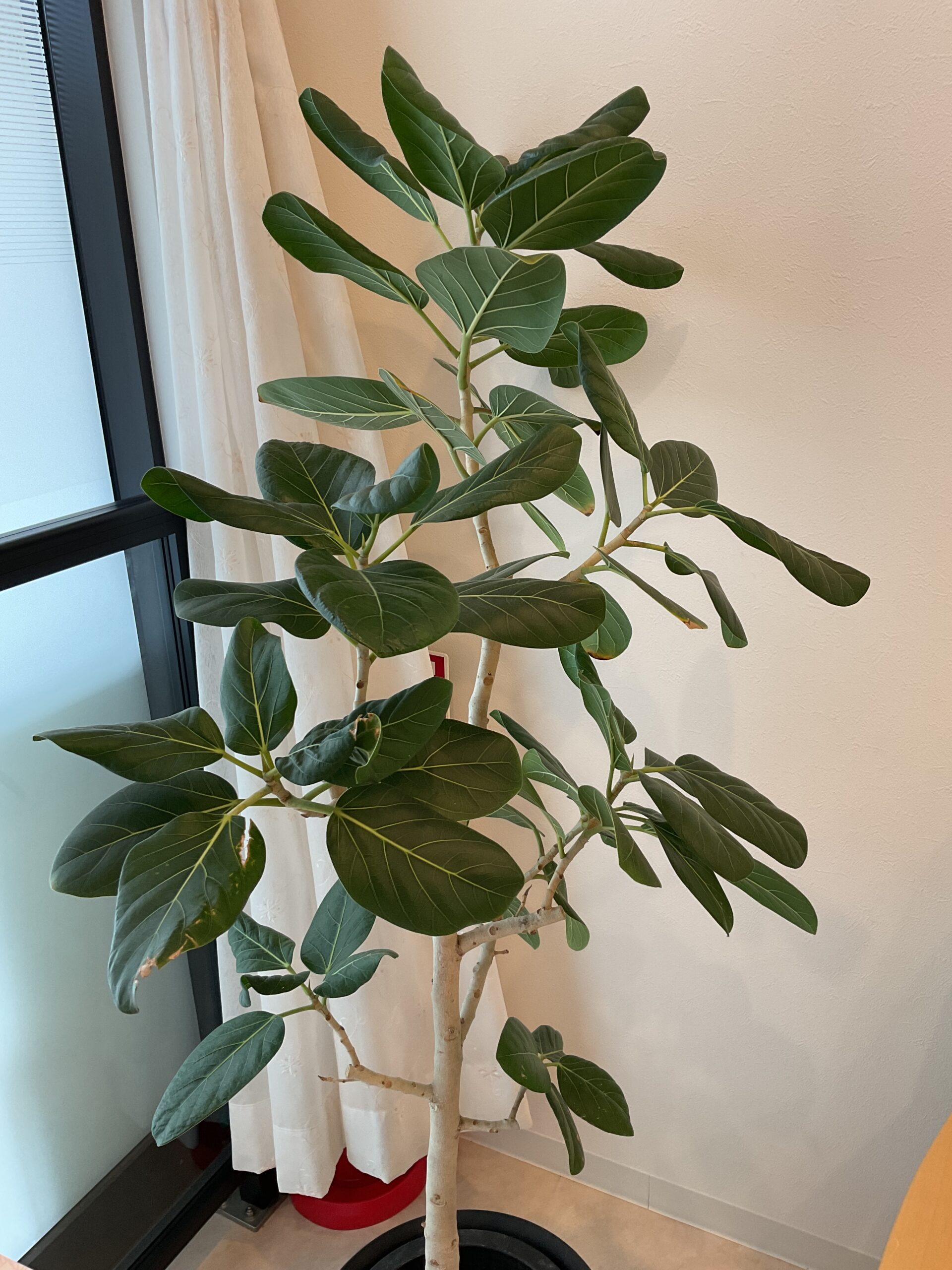 発信していくことの大切さ