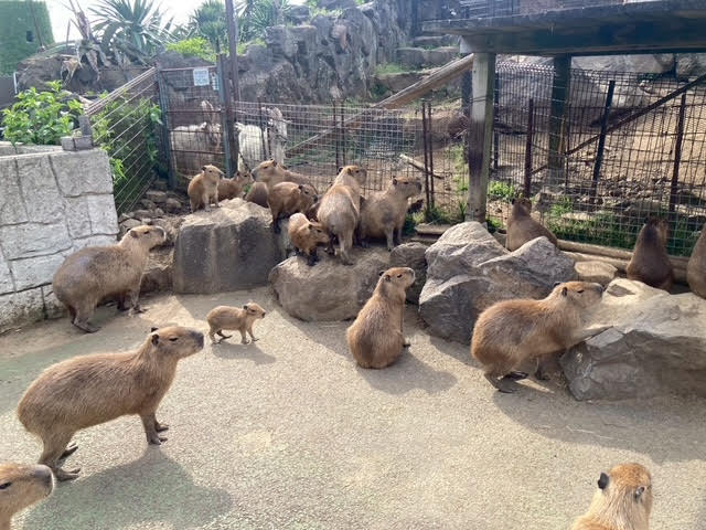 久しぶりの更新です！
